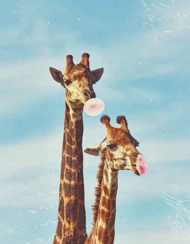 Giraffe Bubble Fun Paint By Numbers