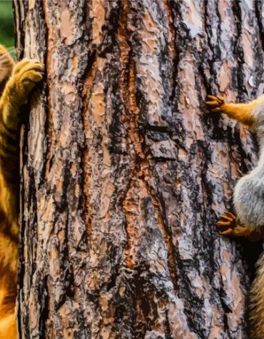 Whimsical Cat and Squirrel Paint By Numbers