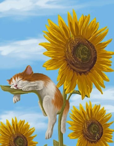 Sleepy Cat and Sunflower Dreams Paint By Numbers