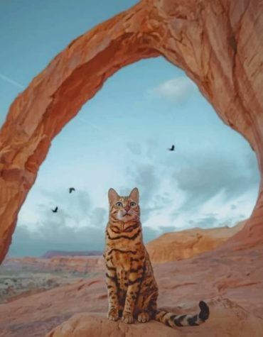 Bengal Cat Adventure in Utah Paint By Numbers