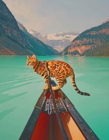 Bengal Cats in Banff Paint By Numbers