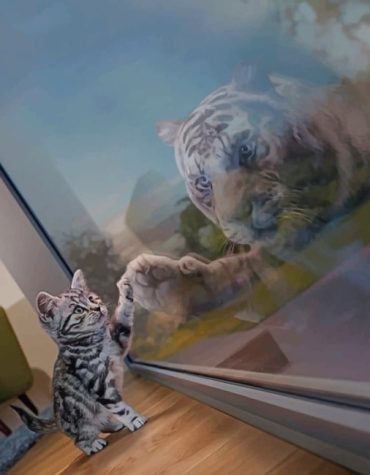 Cat Reflection Paint By Numbers