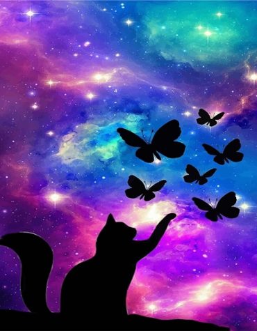 Colorful Cat Universe Paint By Numbers
