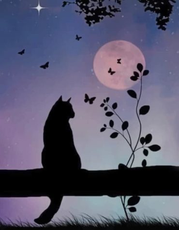 Moonlit Cat Night Paint By Numbers