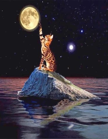 Cat Moonlit Nightview Paint By Numbers