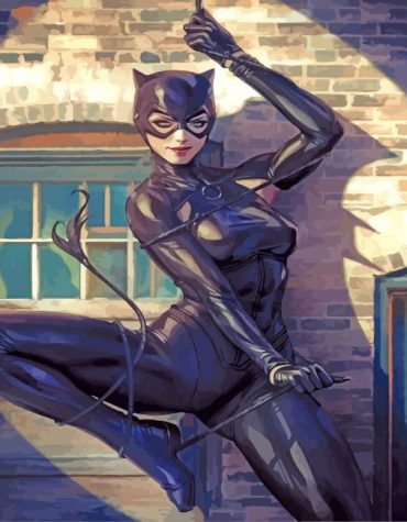 Catwoman Animation Art Paint By Numbers
