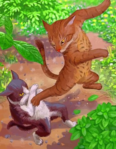 Cat Interaction Paint By Numbers