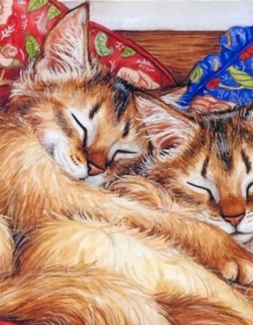 Sleeping Cats Paint By Numbers