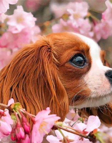 Cavalier Puppy Paint By Numbers