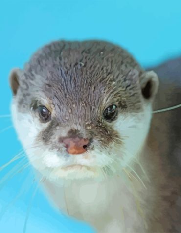 Beaver and Otter Paint By Numbers