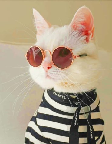 Chanel Cat Paint By Numbers