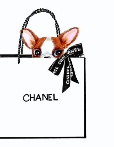 Chanel Chihuahua Perfume Style Paint By Numbers
