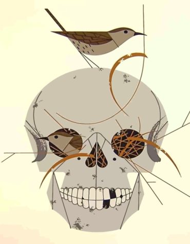 Charley Harper Bird Skull Paint By Numbers