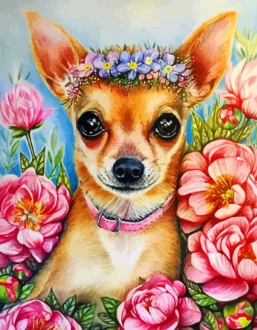 Chihuahua Pets Paint By Numbers