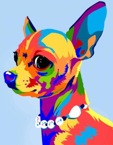 Colorful Chihuahua Dogs Paint By Numbers