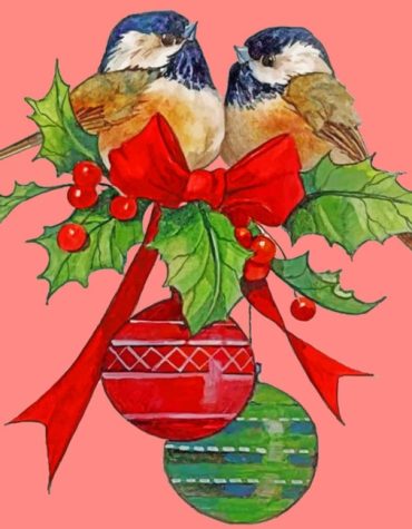 Festive Birds Christmas Paint By Numbers