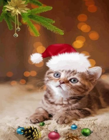 Festive Christmas Cat Paint By Numbers