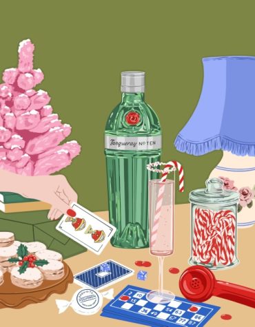 Christmas Illustrations Paint By Numbers