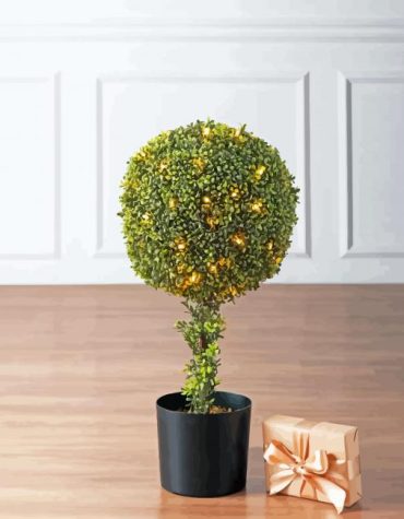 Festive Christmas Topiary Paint By Numbers