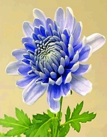 Chrysanthemum Flowers Paint By Numbers