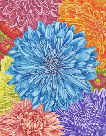 Colorful Chrysanthemum Flowers Paint By Numbers