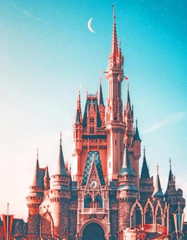 Cinderella Castle Disney Paint By Numbers