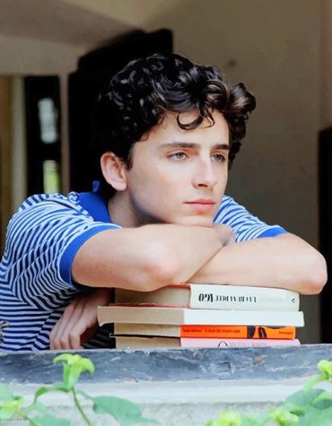 Timothee Chalamet Celebrity Paint By Numbers