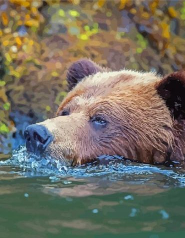 Bear in Water Scenic Paint By Numbers