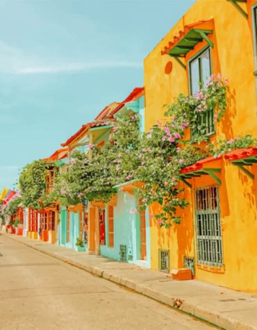 Colombia City Streets Paint By Numbers