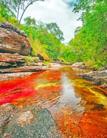 Serrania De La Macarena Colombia Paint By Numbers