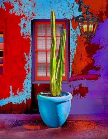 Colorful Tucson Homes Paint By Numbers