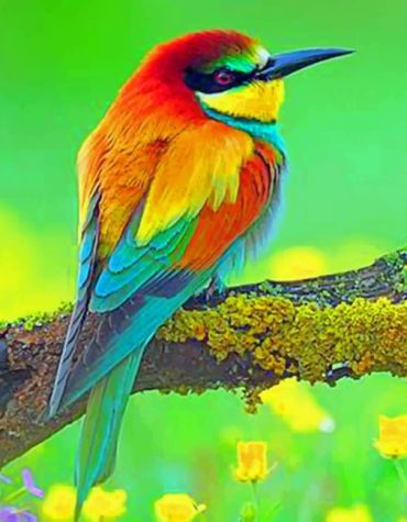 Colorful Bird Paint By Numbers