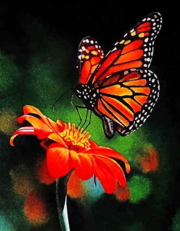 Monarch Butterfly Blooms Paint By Numbers