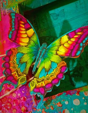 Colorful Butterfly Painting Kit Paint By Numbers