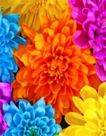 Chrysanthemum Flowers Paint By Numbers