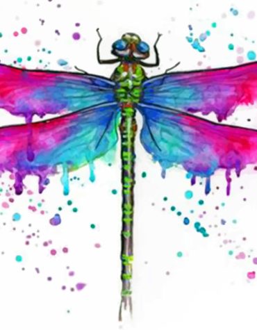 Colorful Dragonfly Insects Paint By Numbers