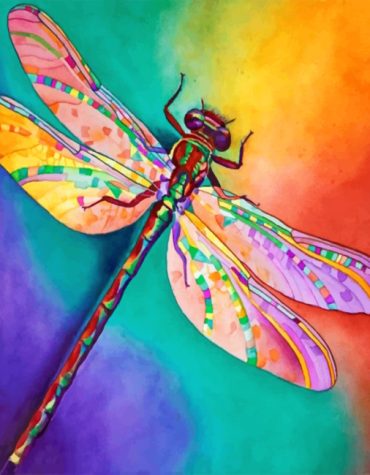 Colorful Dragonfly Insects Paint By Numbers