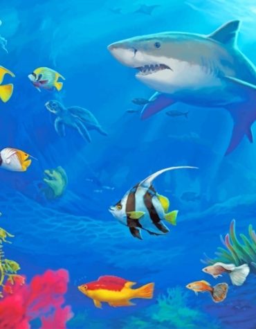 Shark and Fish Ocean Scene Paint By Numbers