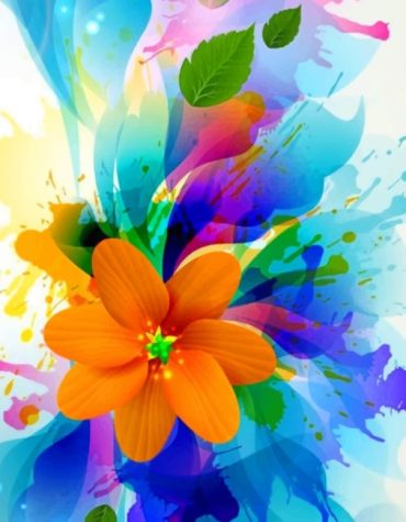 Colorful Blooms Paint By Numbers