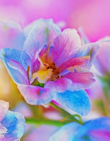 Colorful Floral Paint By Numbers