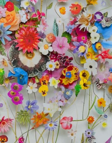 Colorful Blooms Paint By Numbers