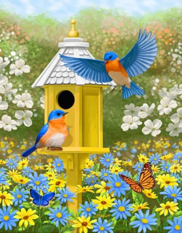 Colorful Garden Bluebirds Scene Paint By Numbers