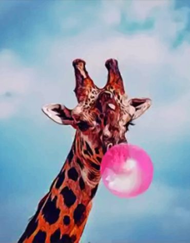 Giraffe Bubblegum Fun Paint By Numbers