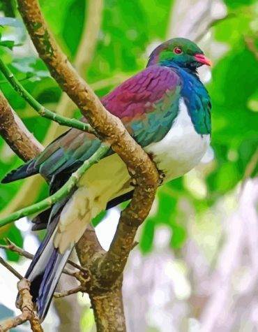 Colorful Kereru Bird Branch Paint By Numbers