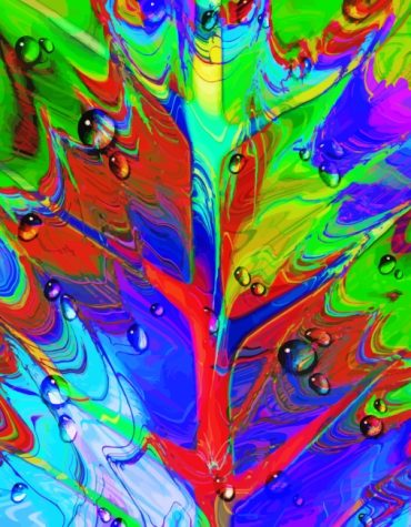 Colorful Leaves Paint By Numbers