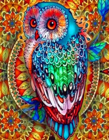 Colorful Mandala Owl Paint By Numbers