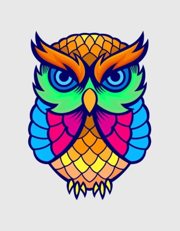 Rainbow Owl Paint By Numbers