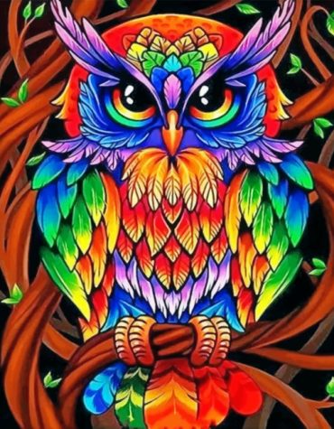 Rainbow Owl Paint By Numbers