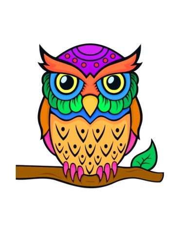 Rainbow Owl Paint By Numbers