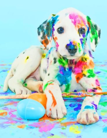Colorful Dogs Paint By Numbers
